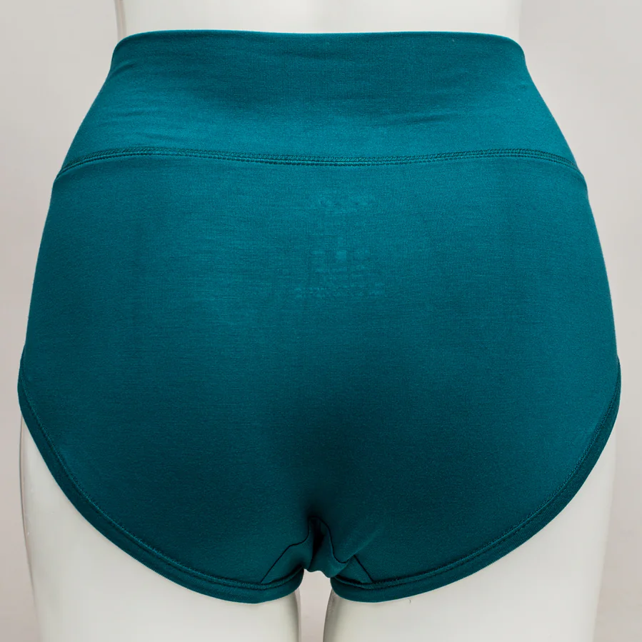 Blue Sky brand teal underwear in The La Gaunche High Rise Full Coverage style