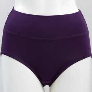 Blue Sky brand purple underwear in The La Gaunche High Rise Full Coverage style