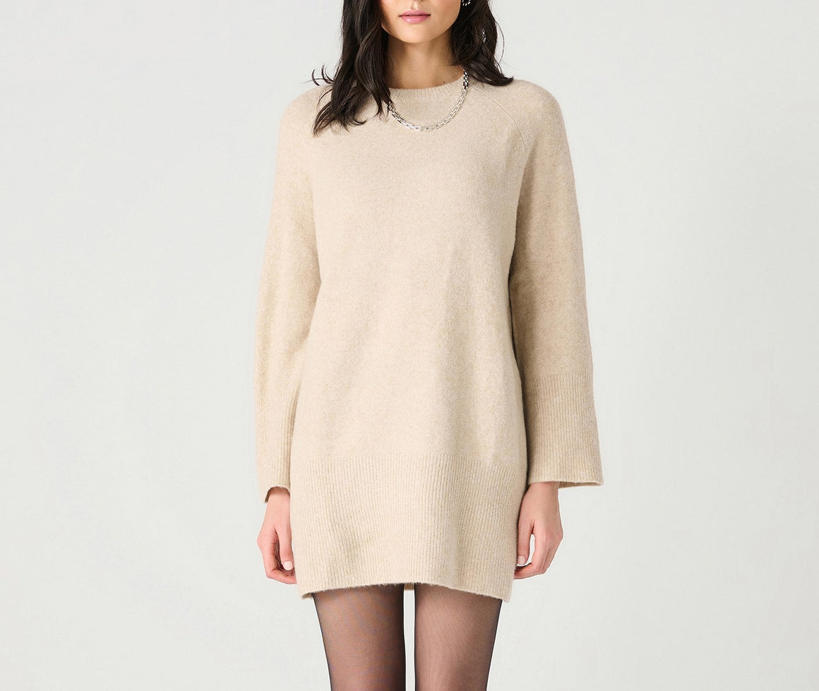 Dex L/S Crew Neck Mini Sweater Dress