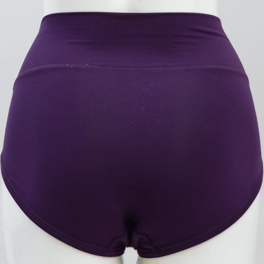 Blue Sky brand purple underwear in The La Gaunche High Rise Full Coverage style